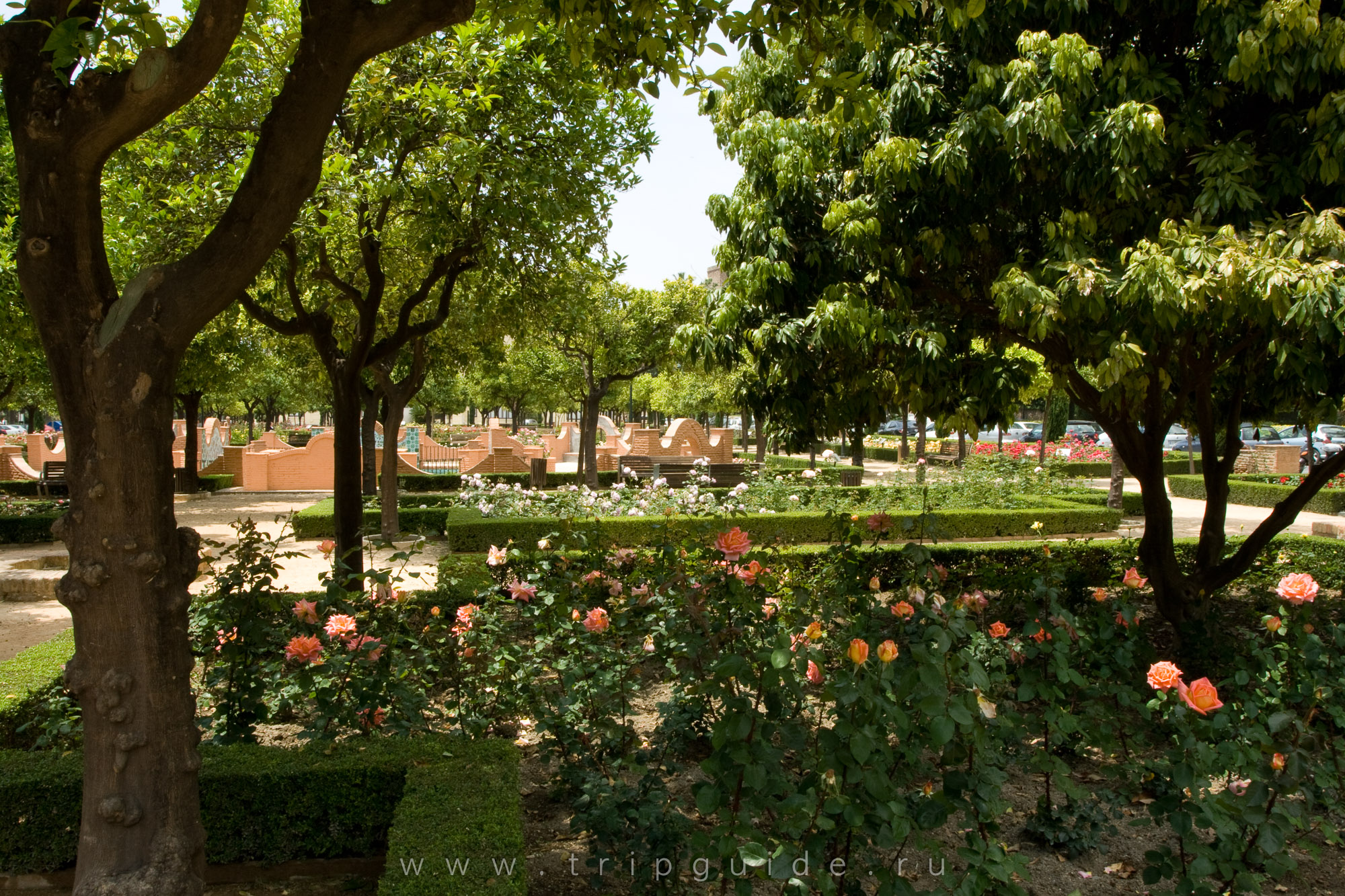 Сады Педро Луиса Алонсо (Los jardines de Pedro Luis Alonso) Сады Педро Луиса Алонсо (Los jardines de Pedro Luis Alonso)