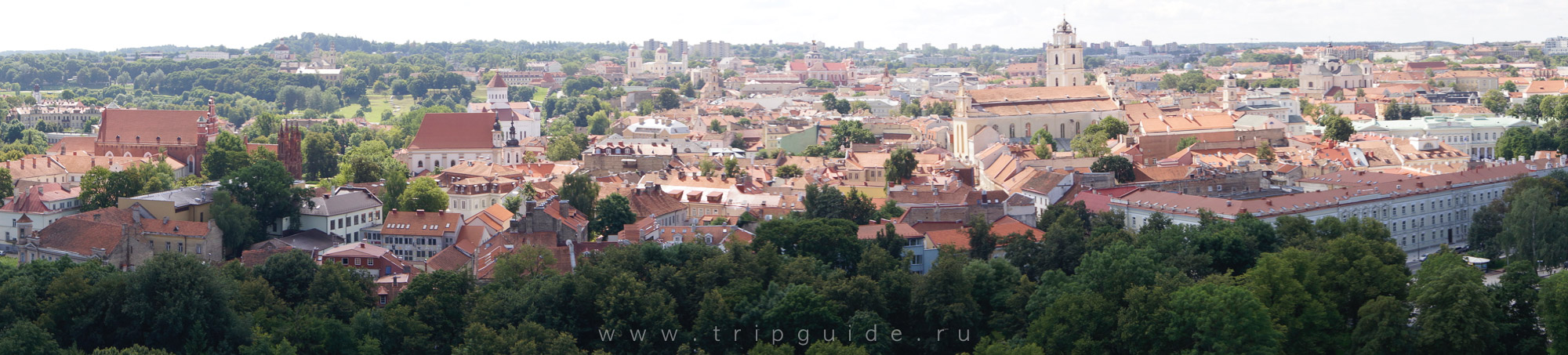 Панорама Таллина — старый город Панорама Таллина — старый город