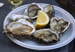 Морские гады и рестораны