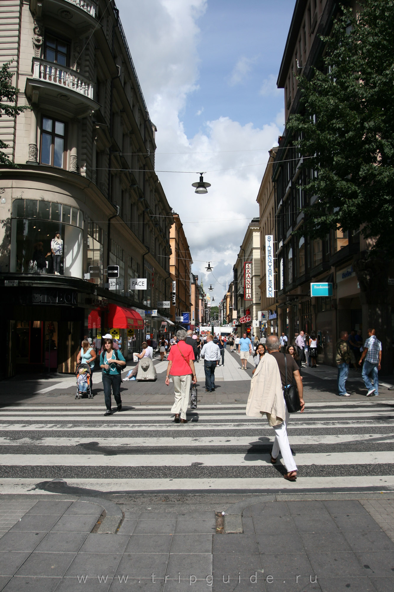 Пешеходная улица Дротнингатан (Drottninggatan) Пешеходная улица Дротнингатан (<span lang=sv>Drottninggatan</span>)