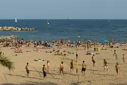 Район Барселонетта Район Барселонетта