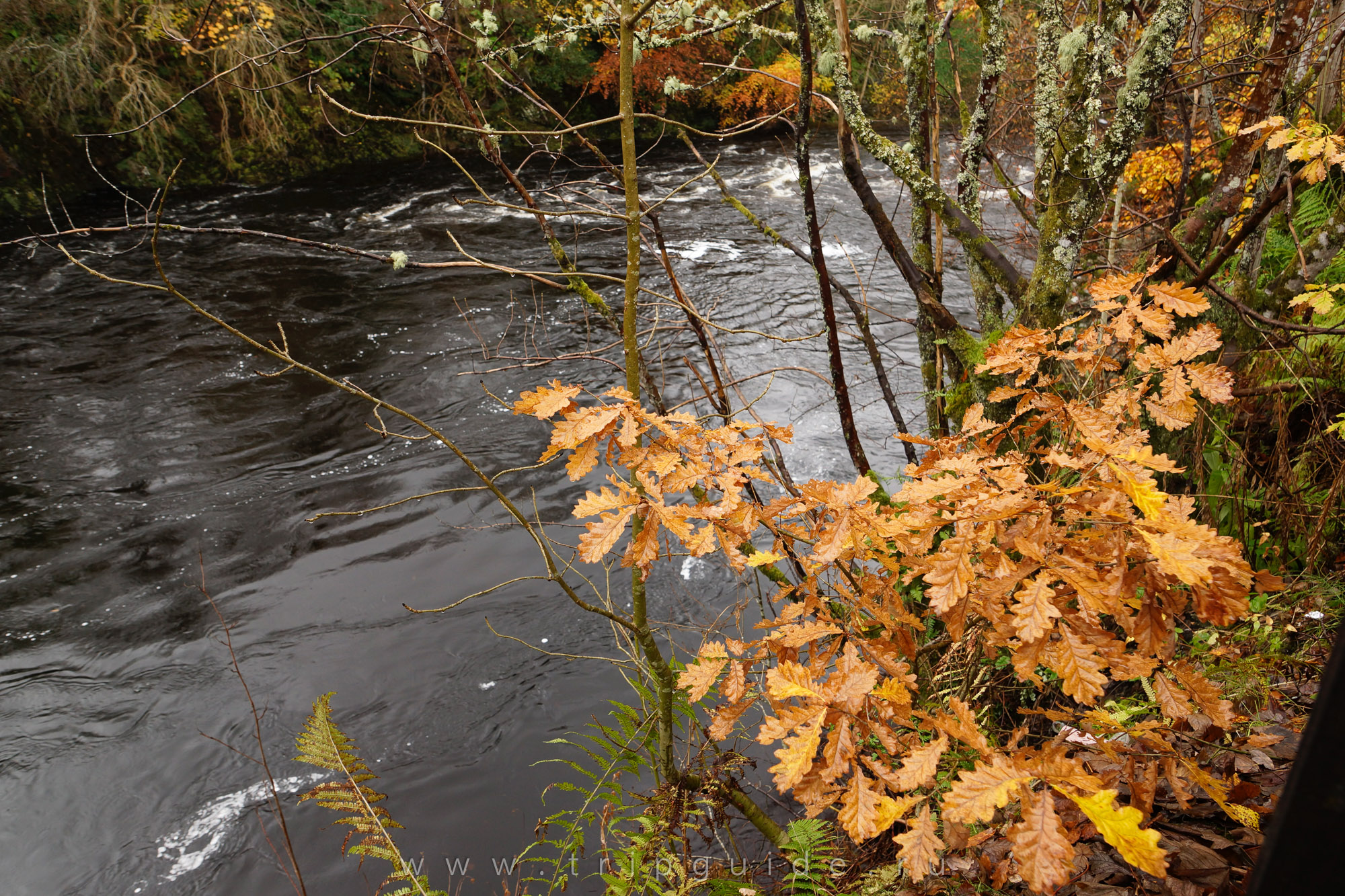 Река Спин / River Spean Река Спин / River Spean