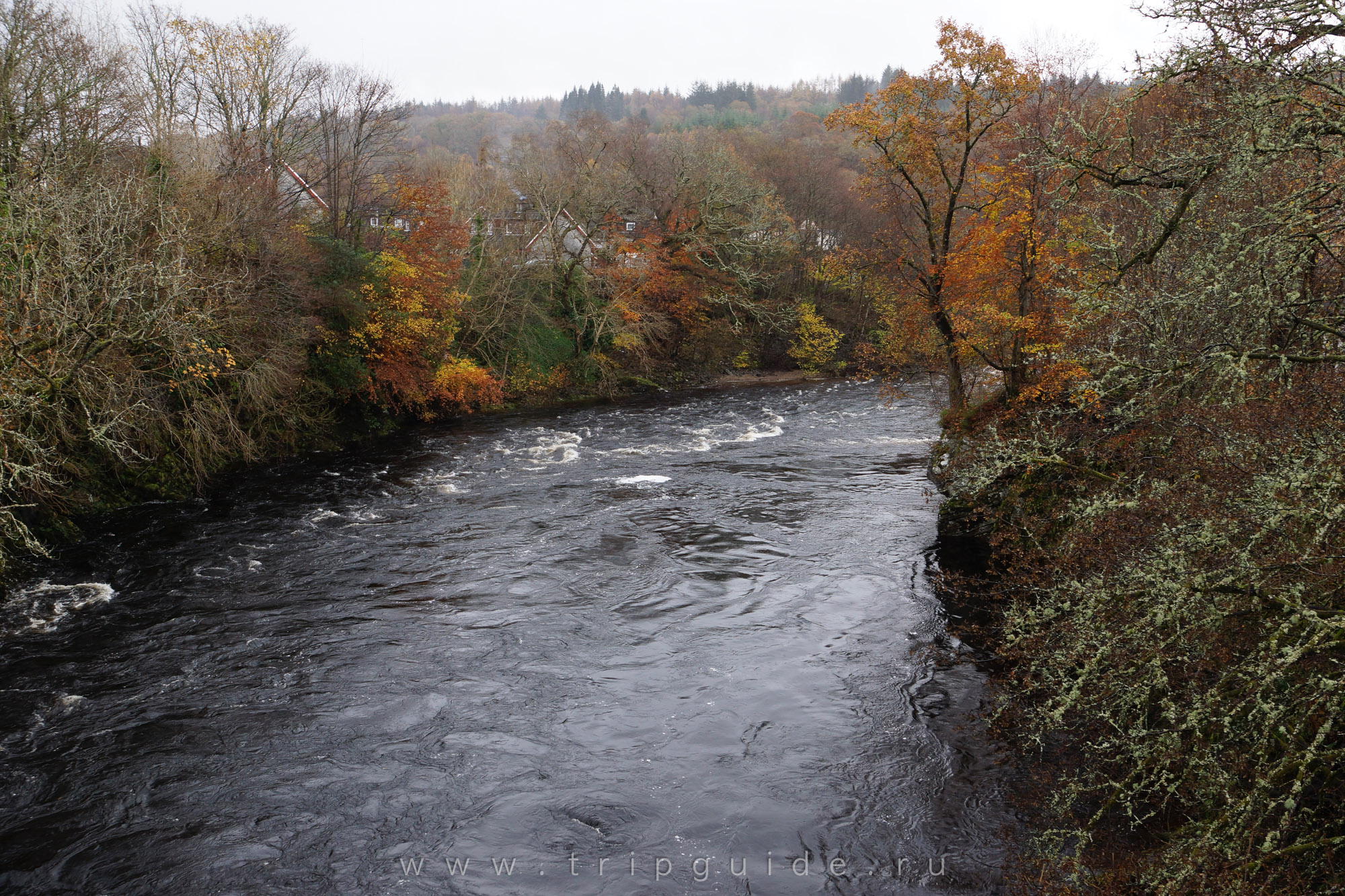 Река Спин / River Spean Река Спин / River Spean