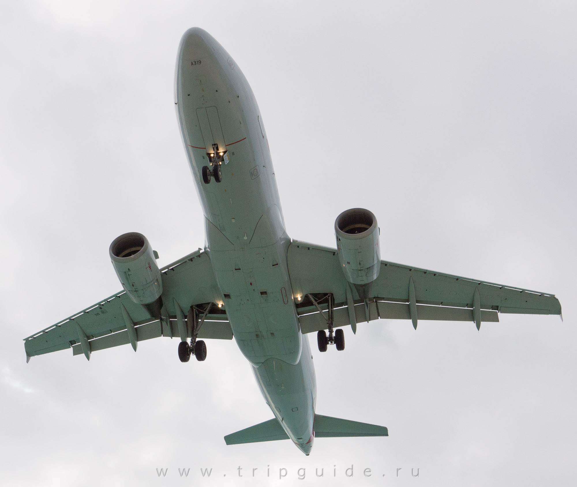 Самолет A319 авиакомпании American Airlines Самолет A319 авиакомпании American Airlines