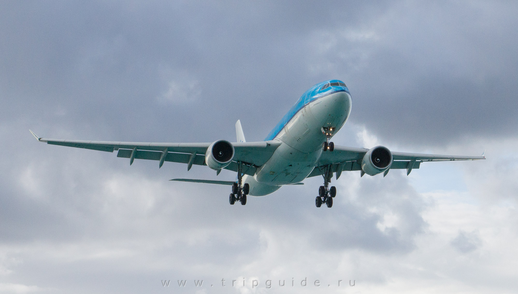 Самолет Airbus A330-203 авиакомпании KLM рейс Амстердам — Синт Мартен Самолет Airbus A330-203 авиакомпании KLM рейс Амстердам — Синт Мартен